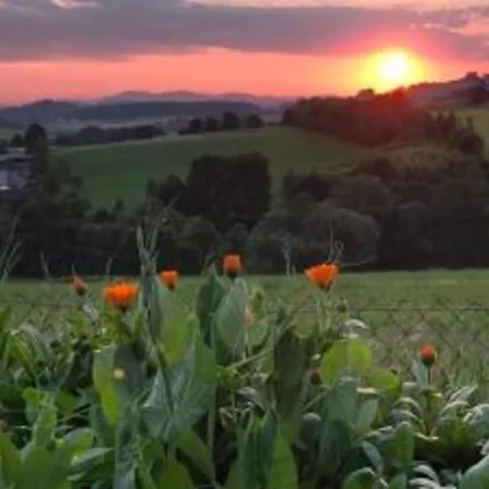 Cozy House In Bavaria With Garden & Bbq Waldkirchen