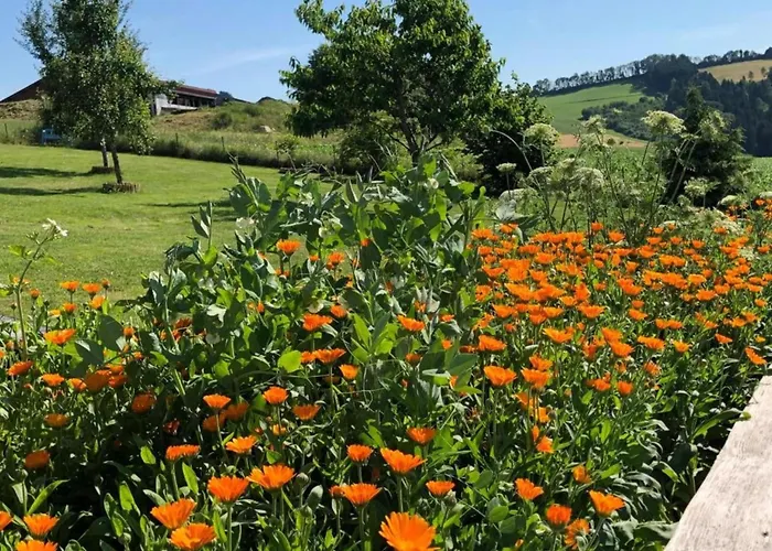 Cozy House In Bavaria With Garden & Bbq Ferienhaus *