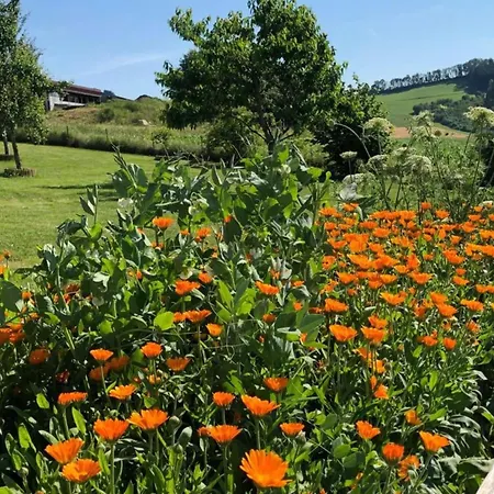Familienunterkunft In Im Feriehus *
